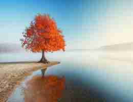 js搭‌建﻿服‌务﻿器﻿